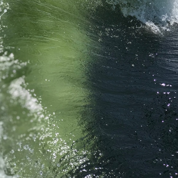 Meet your Posher, Graham - Picture 1 of 1